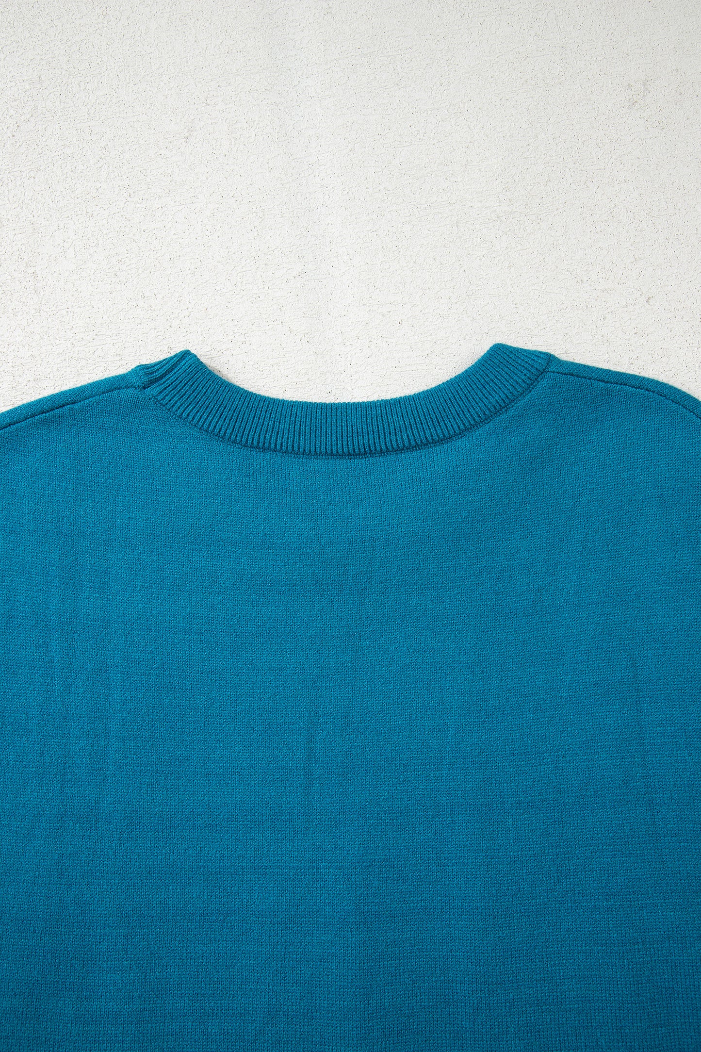 Blue Horseshoe Embroidered Loose Short Sleeve Sweater