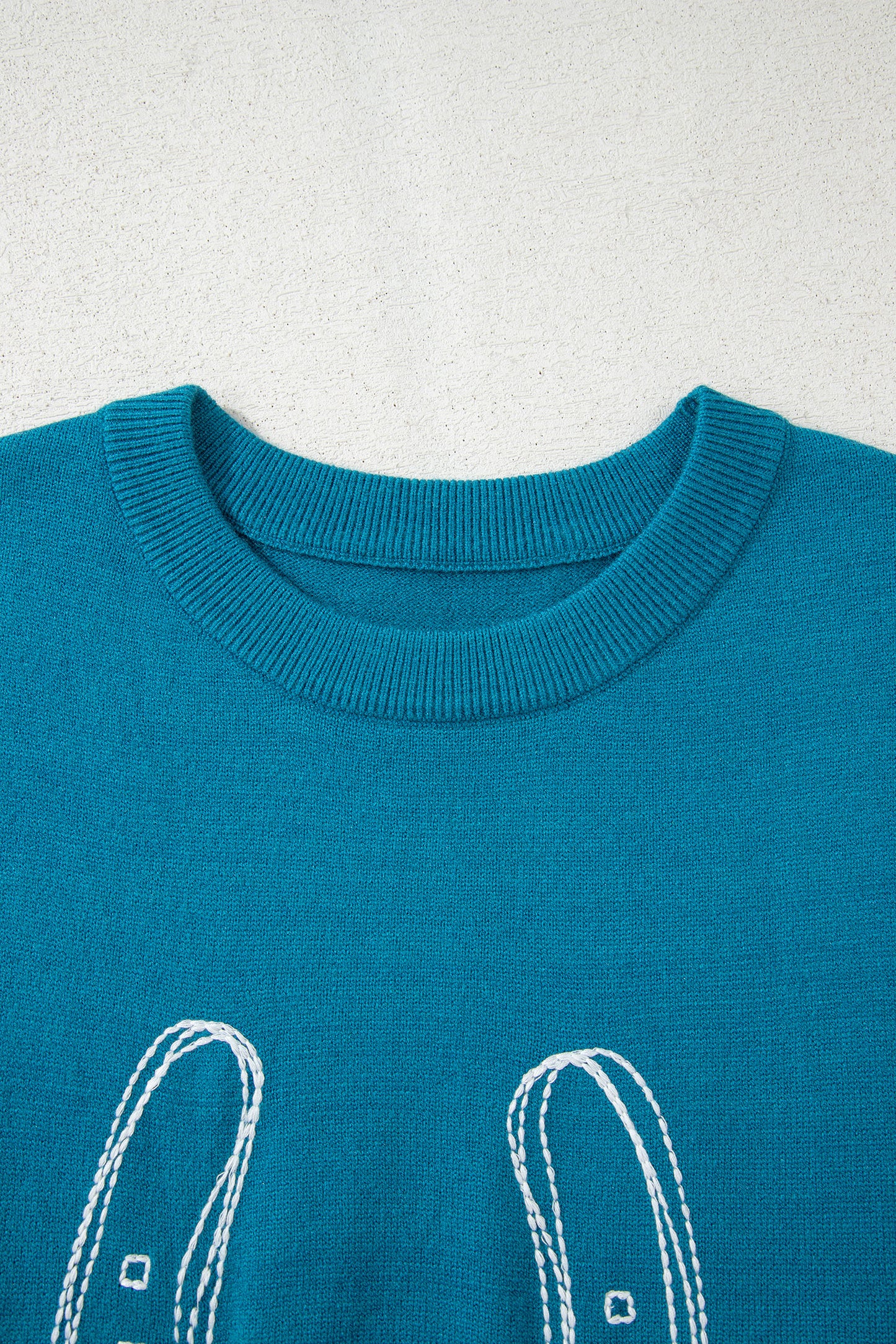 Blue Horseshoe Embroidered Loose Short Sleeve Sweater