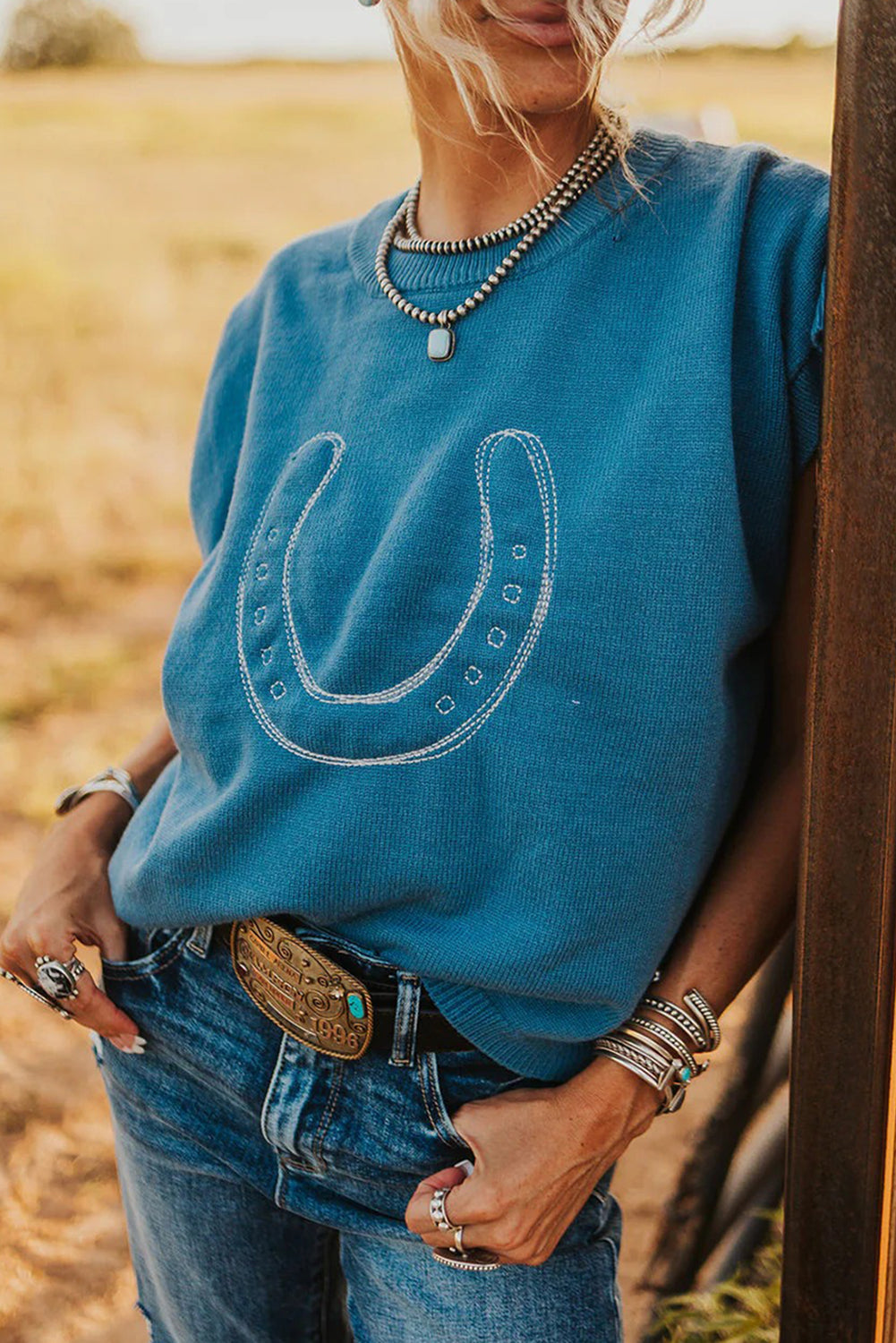 Blue Horseshoe Embroidered Loose Short Sleeve Sweater