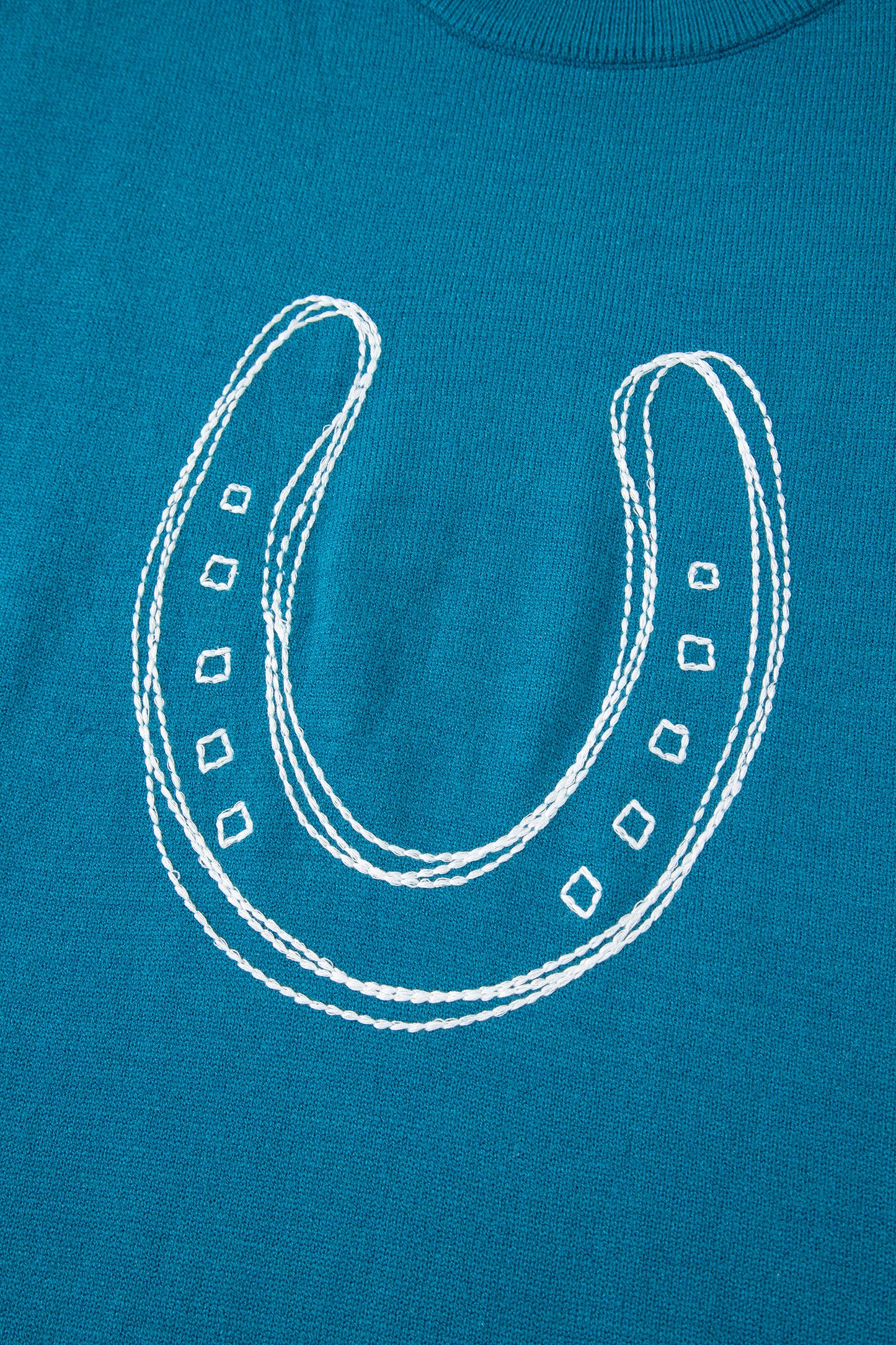 Blue Horseshoe Embroidered Loose Short Sleeve Sweater